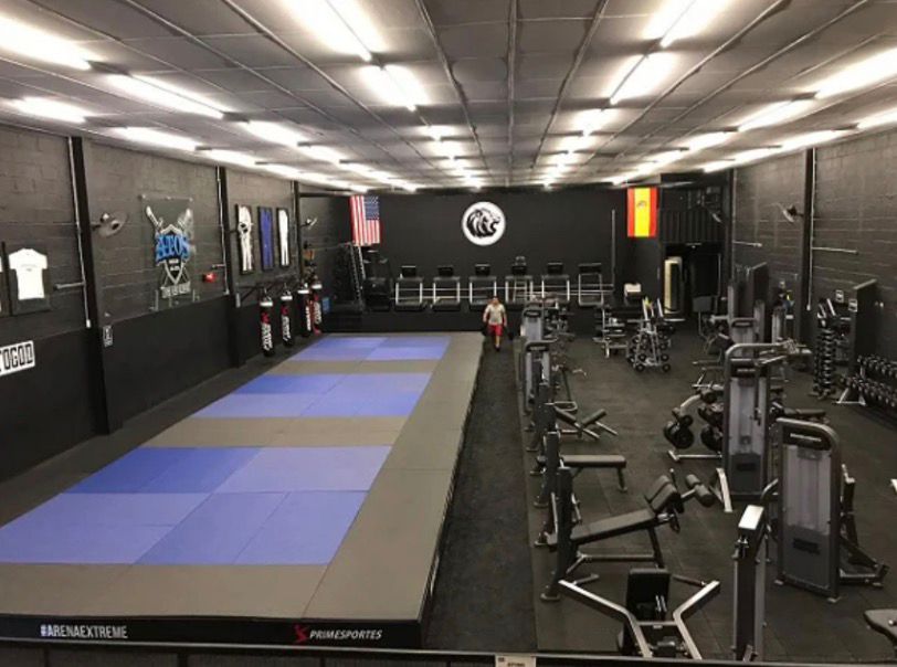 TATAMI OLIMPICO de 2m x 1m x 40mm